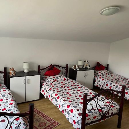 Vila Ekooos Brasov Bagian luar foto