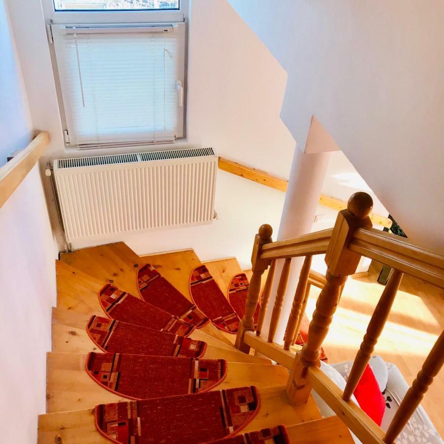 Vila Ekooos Brasov Bagian luar foto