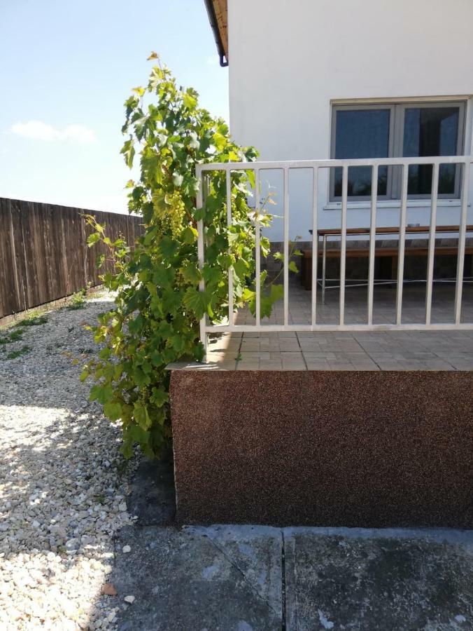 Vila Ekooos Brasov Bagian luar foto