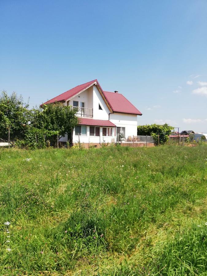 Vila Ekooos Brasov Bagian luar foto