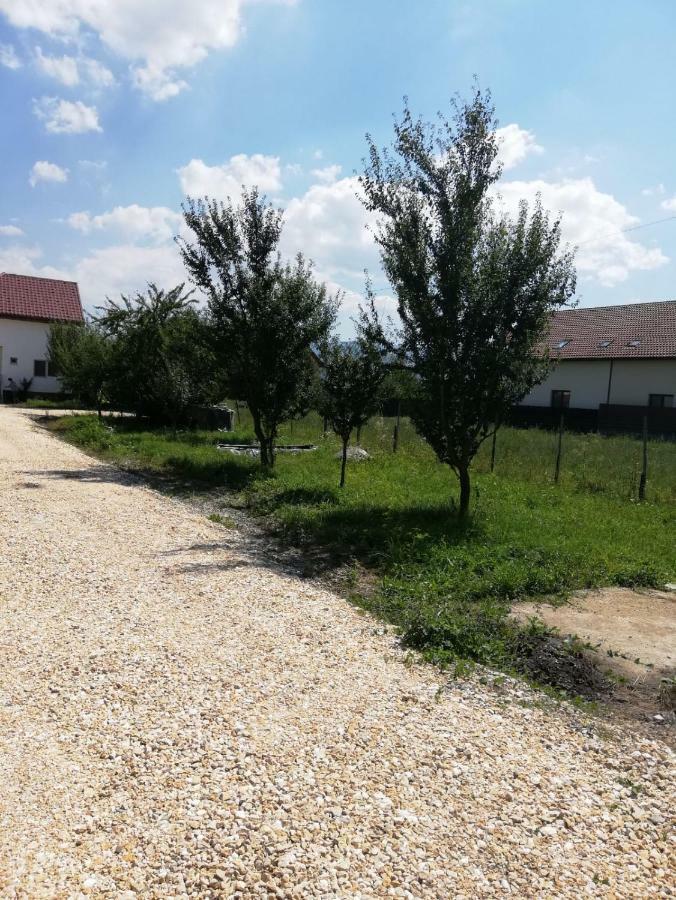 Vila Ekooos Brasov Bagian luar foto